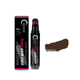 EELHOE Disposable Plant Hair Salon Root Touch Up Hair Chalk Hair Dye Pen For Roots, Haircolor Touch-Up Stick To Cover Gray Hair Root For Man And Women (Hair dye pen: Brown)